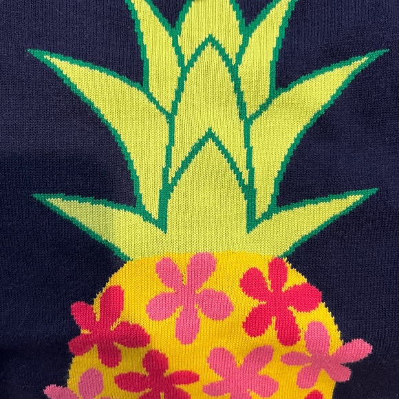 Tori Richard ⭐️NWT⭐️navy and pineapple sweater - Picture 2 of 9